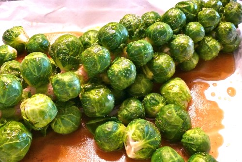 Brussels sprout stalk