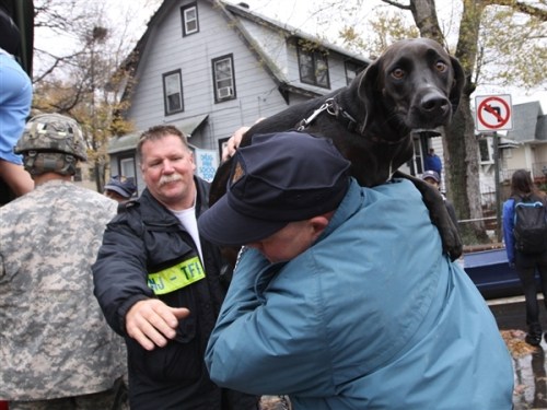 Hurricane Sandy dog rescue
