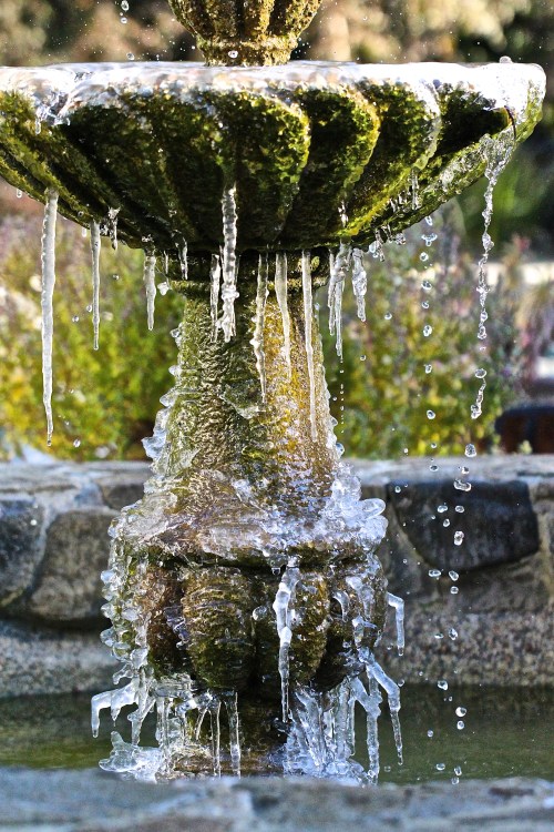 frozen bird bath