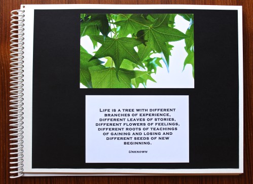 The Bridge Book: An Inspirational Gift For Someone Moving On