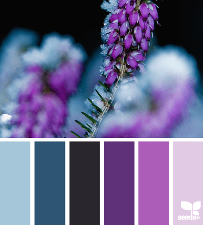 Color Palette Search