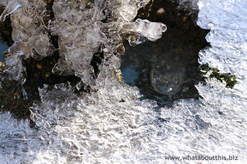 Ice and Water image