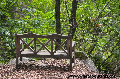 Friday's Fresh Five!