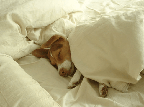 12 Simple Ways to Improve Your Sleep