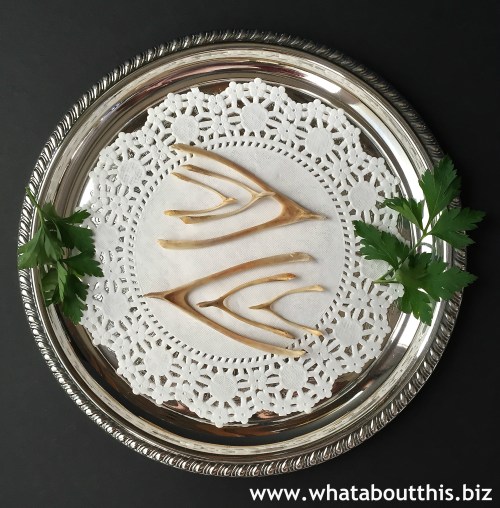 November 28, 2014 Edition