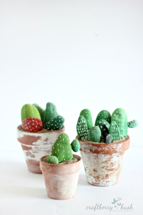 Cacti Made Of Painted Rocks