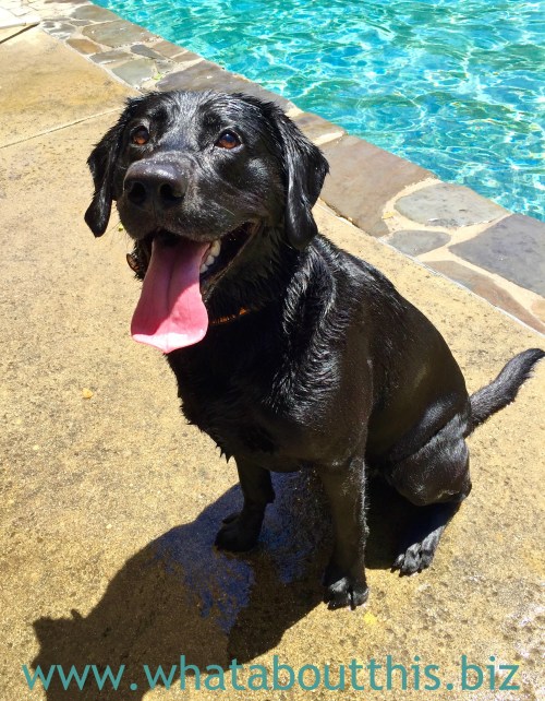 July 10, 2015 Edition