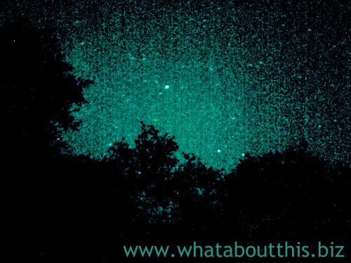 July 17, 2015 Edition